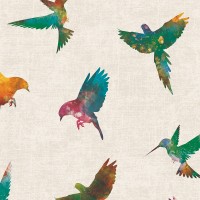 Freedom 14253-1 Kuş Desenli Duvar Kağıdı Renkli