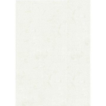 Elegant 2044 Düz Desen Duvar Kağıdı