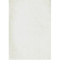 Elegant 305-1 Düz Motifli Kağıt