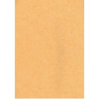Elegant 309-3 Duvar Kağıdı