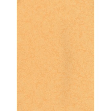 Elegant 309-3 Duvar Kağıdı
