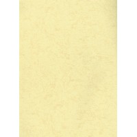 Elegant 312-1 Duvar Kağıdı