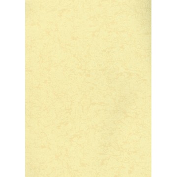 Elegant 312-1 Duvar Kağıdı