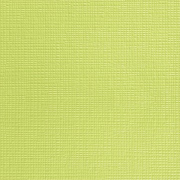 Cheum 4501-3 Düz Renk İthal Duvar Kağıdı