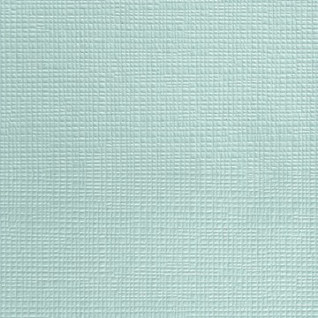 Cheum 4501-6 Düz Renk İthal Duvar Kağıdı