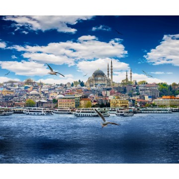 İstanbul Duvar Posteri N-977