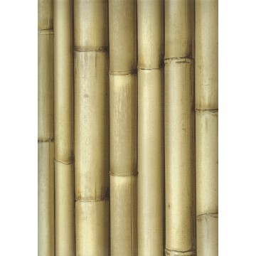 Bluff J223-04 Bambu Görünümlü Duvar Kağıdı