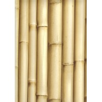 Bluff J223-17 Bambu Duvar Kağıdı
