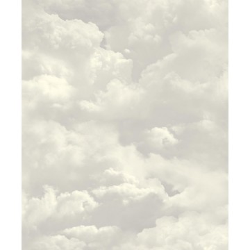 Foux Semblant L131-09 Bulut Görünümlü Duvar Kağıdı