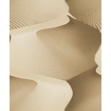 Foux Semblant L140-17 Çöl Görünümlü Duvar Kağıdı